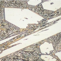 RX®ww Monolayer-O (5)